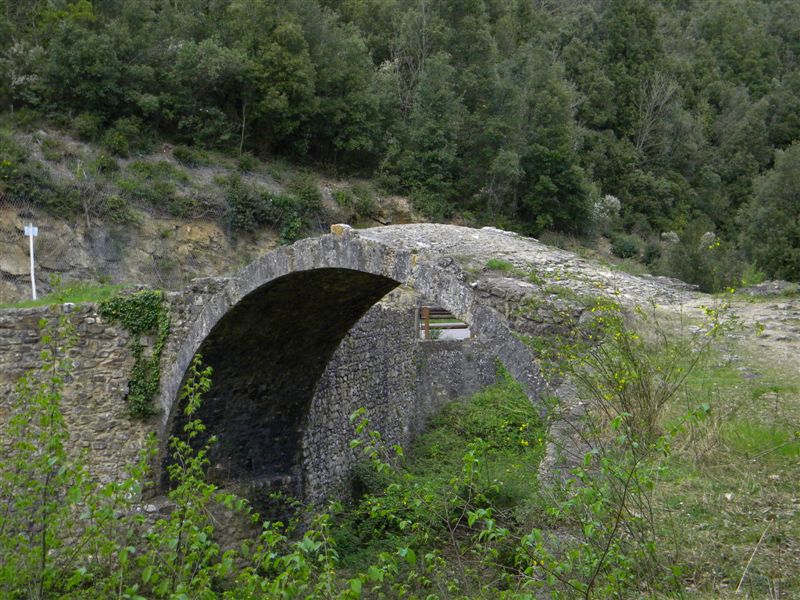 Montagnola Senese